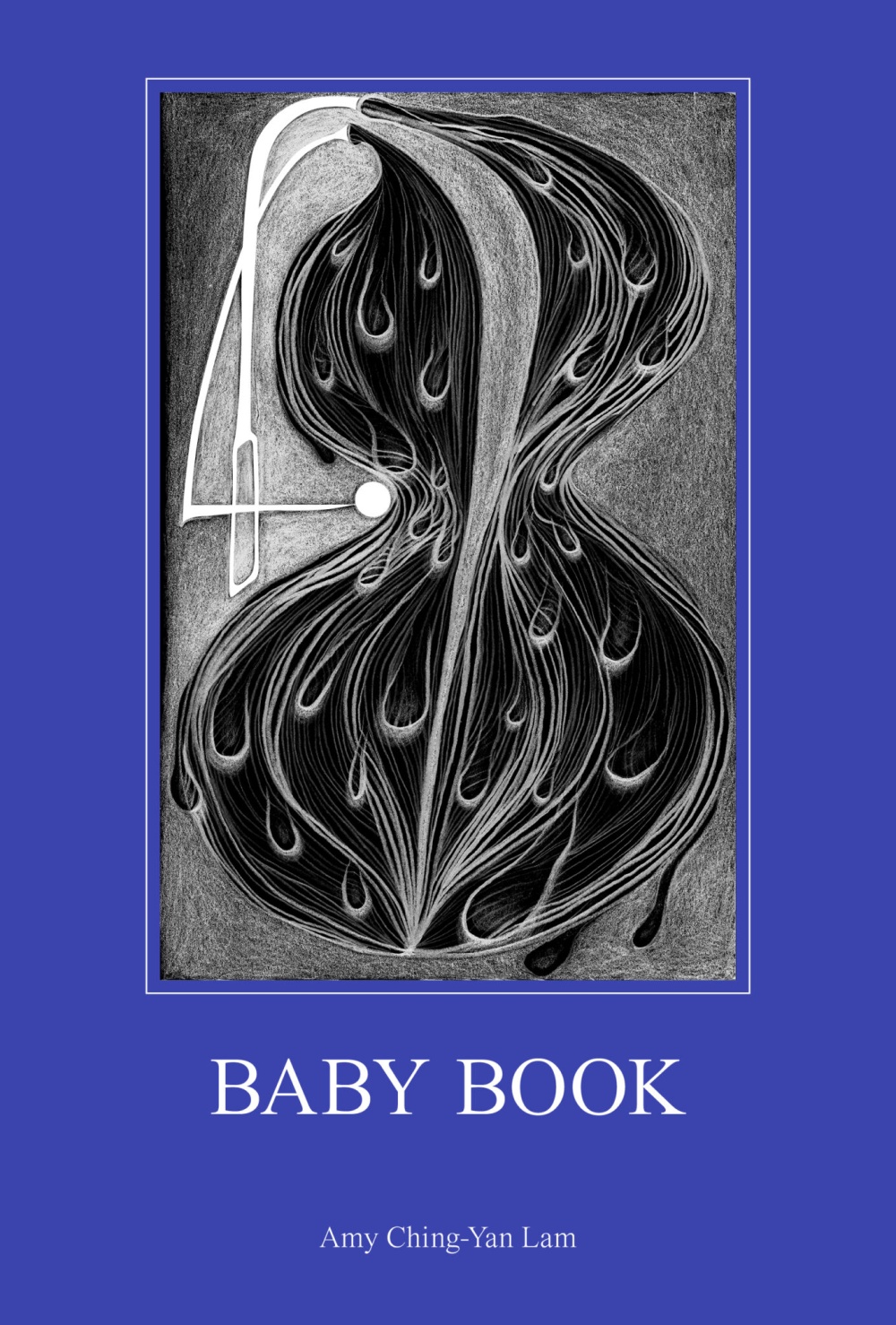 baby book