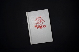 Gerardo Madera: Name, Thing, Thing: A Primer in Parallel Typographies