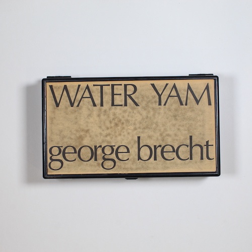 Water Yam