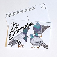 Bloordale Pigeons Postcard: Regular&#160;Pigeons
