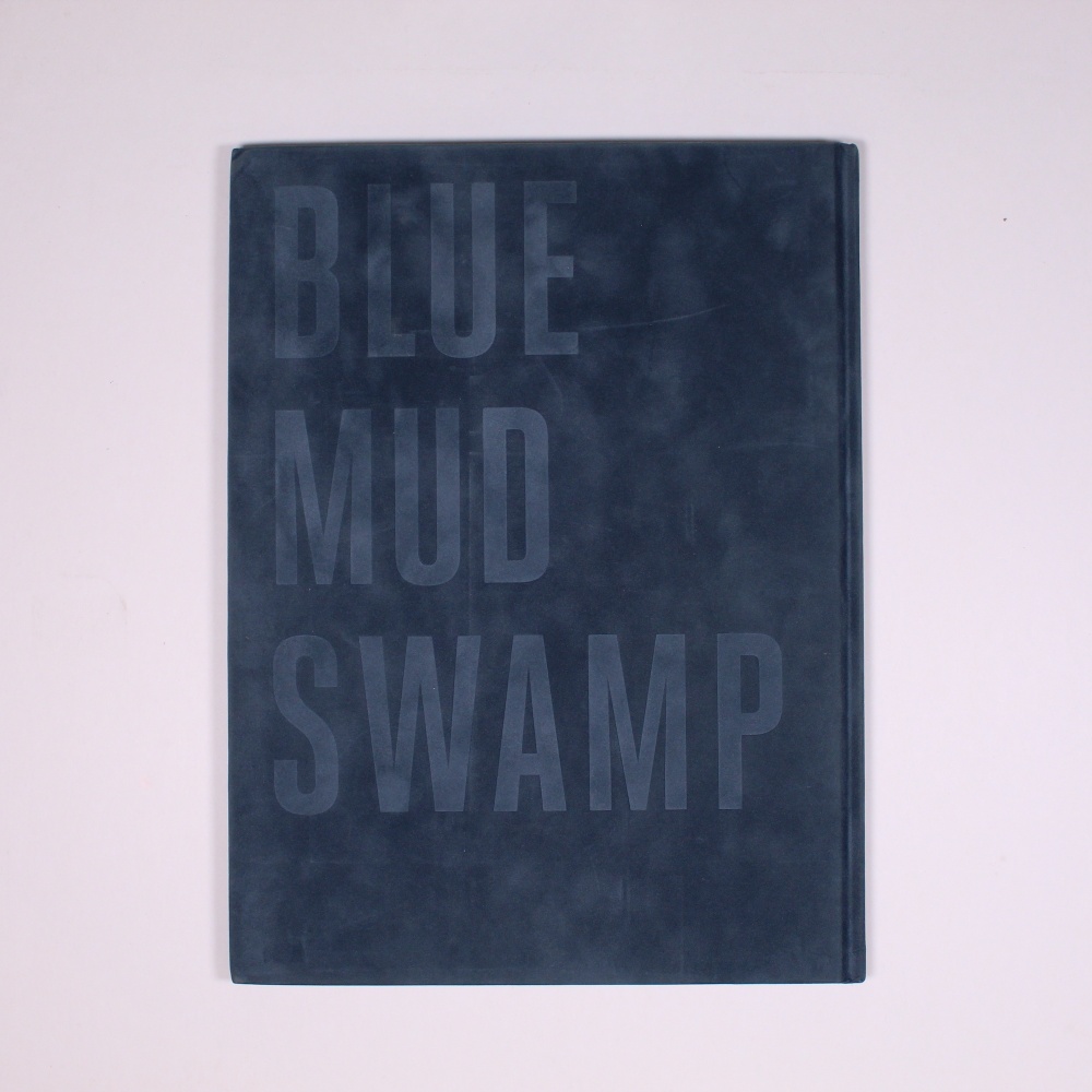 blue mud swamp - 5
