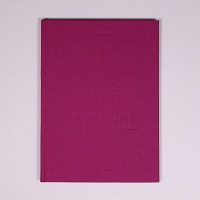 David Campany: Rich and Strange