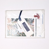 Danica Jojich: Hand Held Sculptures Reminder Series