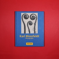 Karl Blossfeldt:&#160;Photographs