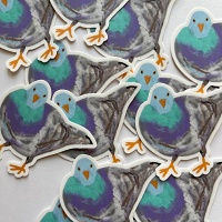 Shari Kasman: Urban Pigeon&#160;Sticker