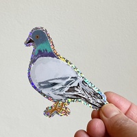 Shari Kasman: Glittery Pigeon&#160;Sticker