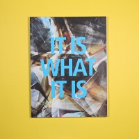 It Is What It Is: Recent Acquisitions in New Canadian&#160;Art