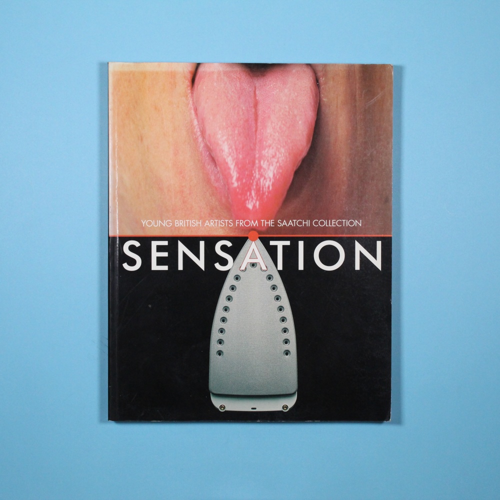 Sensation Saatchi