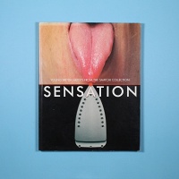 Sensation: Young British Artists from the Saatchi&#160;Collection