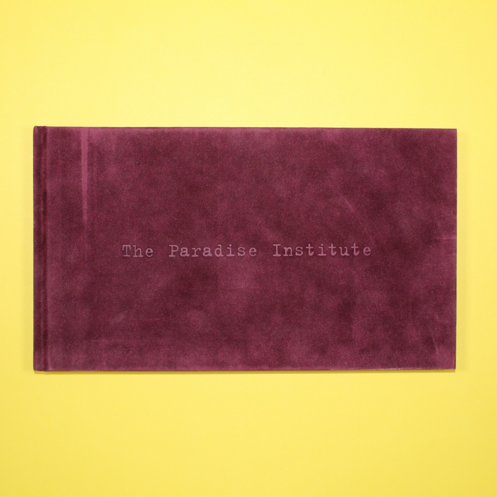 The Paradise Institute