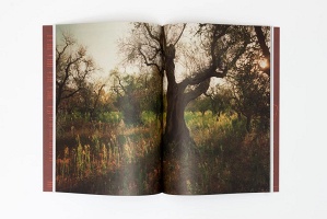 Émilie Loiseleur and Louise Long: Linseed Journal Volume Two: THE&#160;OLIVE