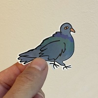 Shari Kasman: Urban Pigeon Temporary&#160;Tattoo