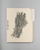 Padraig Robinson: A Faggot is a Unit