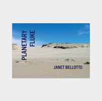 Janet Belloto: Planetary&#160;Fluke