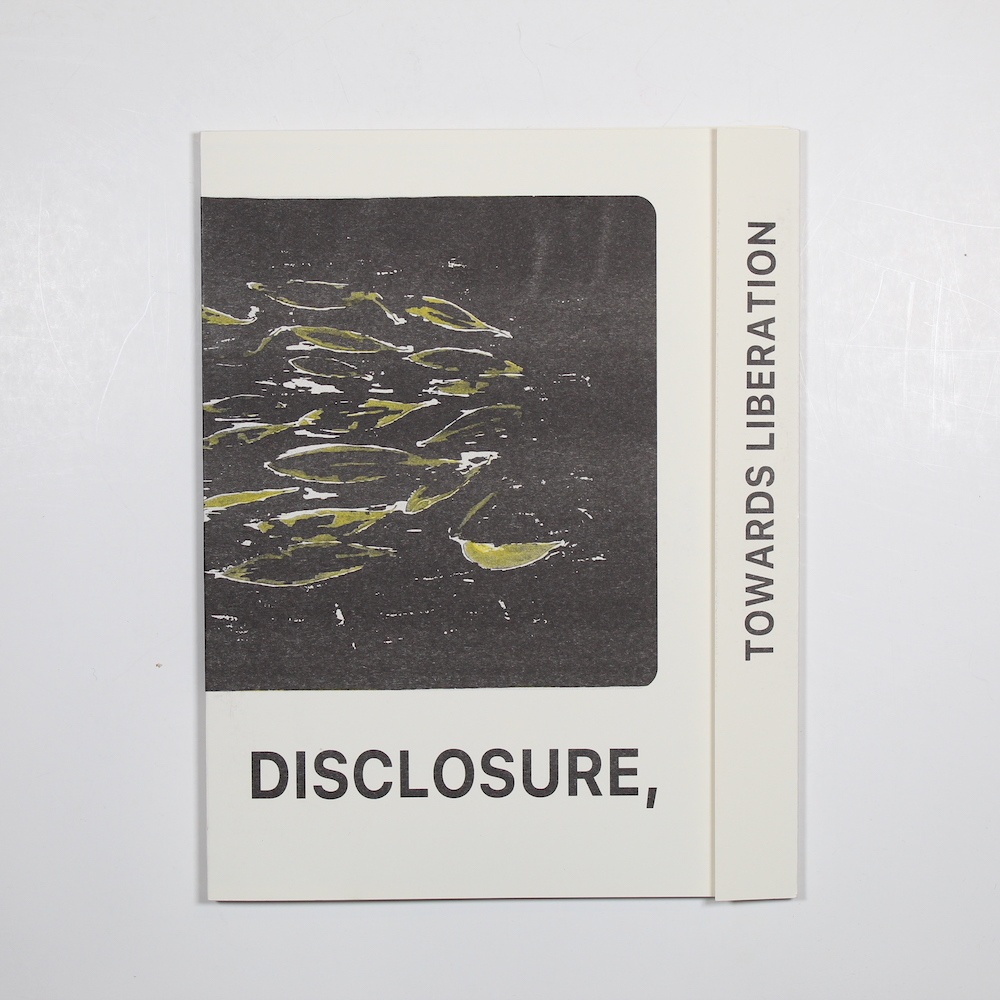 Disclosure, towards liberation