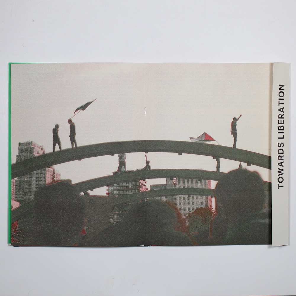 Disclosure, towards liberation