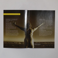 Dyke Action Machine, Carrie Moyer, and Sue Schaffner: Artists &amp; Activists 3: Vision, Goals And Values: One&#160;Company