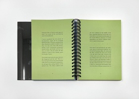 Isadora Reisner: Jaguar&#160;Group