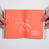 Nour Bishouty, Nour Bishouty, Nour Bishouty, Richard Kahwagi, Heather Canlas Rigg, and Daniella Sanader: 731.52 cm of&#160;land