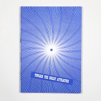 Robert Kleyn: Toward the Great&#160;Attractor