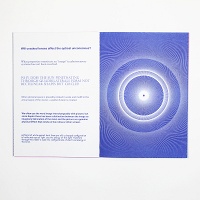 Robert Kleyn: Toward the Great&#160;Attractor