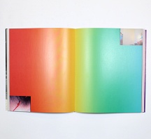 Charles Ray and Franz West: Parkett Vol. 37