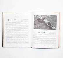 Felix Gonzalez-Torres and Wolfgang Laib: Parkett Vol. 39