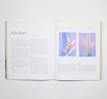 Tony Oursler, Raymond Pettibon, and Thomas Schütte: Parkett Vol. 47