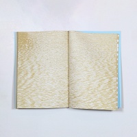 Barbara Balfour and Elizabeth Hobart: Golden Pavilion&#160;Notebook