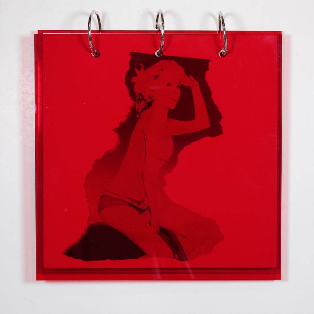 Seen Through Red Special Edition 1