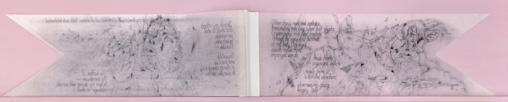 Lina Wu: Ribbon&#160;Book