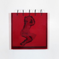 Jordan King: Seen Through Red (Original Ephemera&#160;Edition)