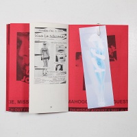 Tess Davey, Dallas Fellini, and Jordan King: Seen Through&#160;Red