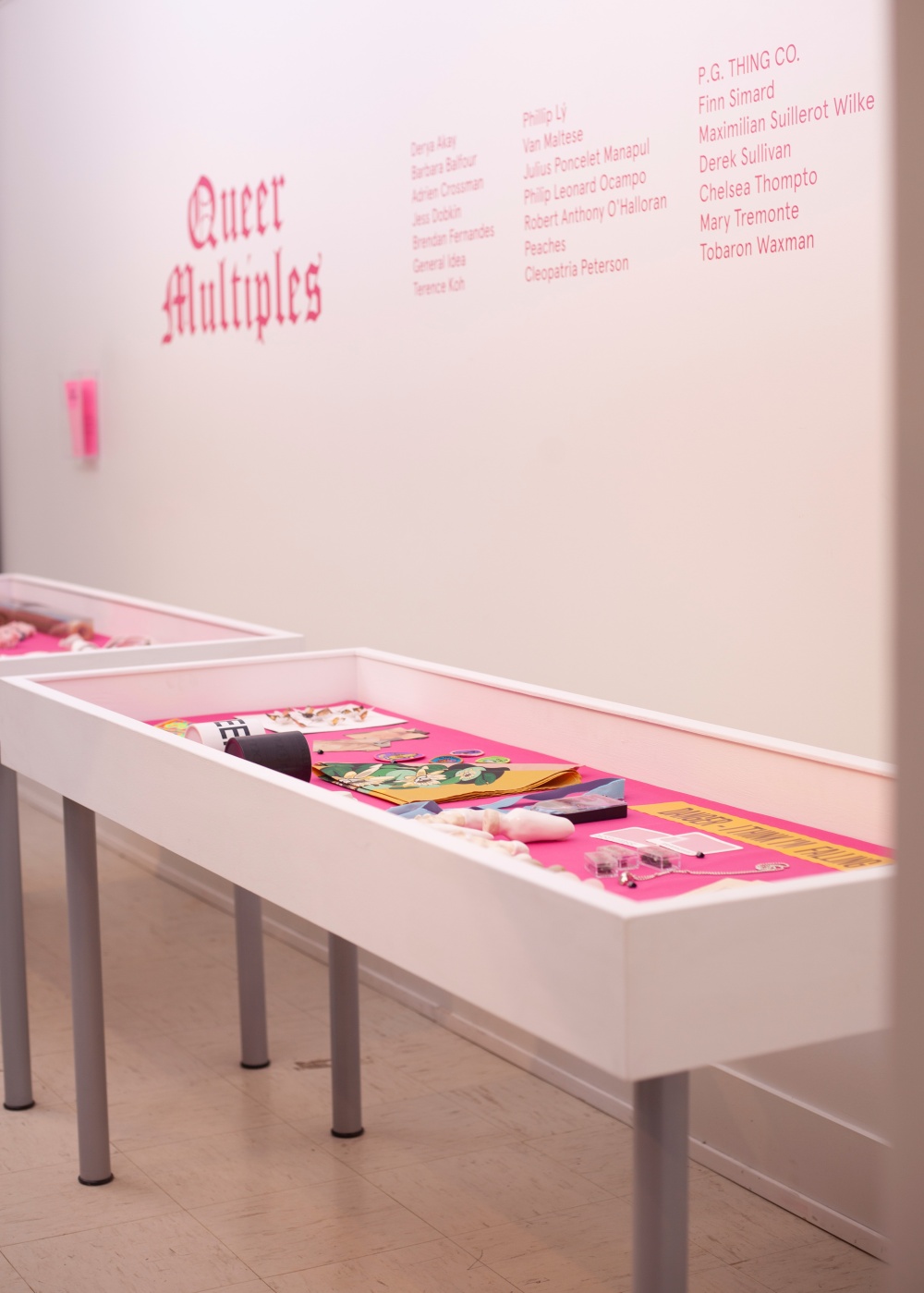 queer multiple exhibition documentation 1