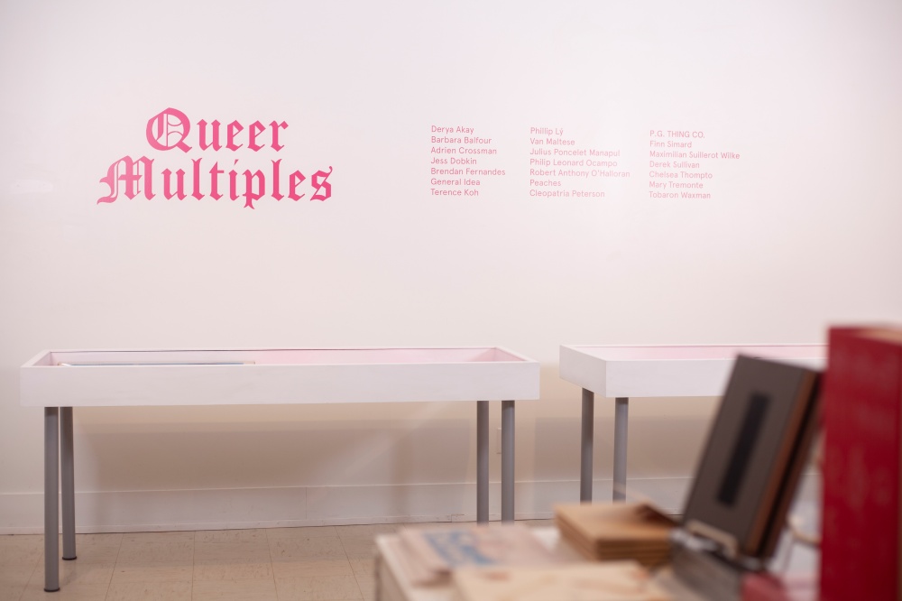 Queer Multiples Documentation 9