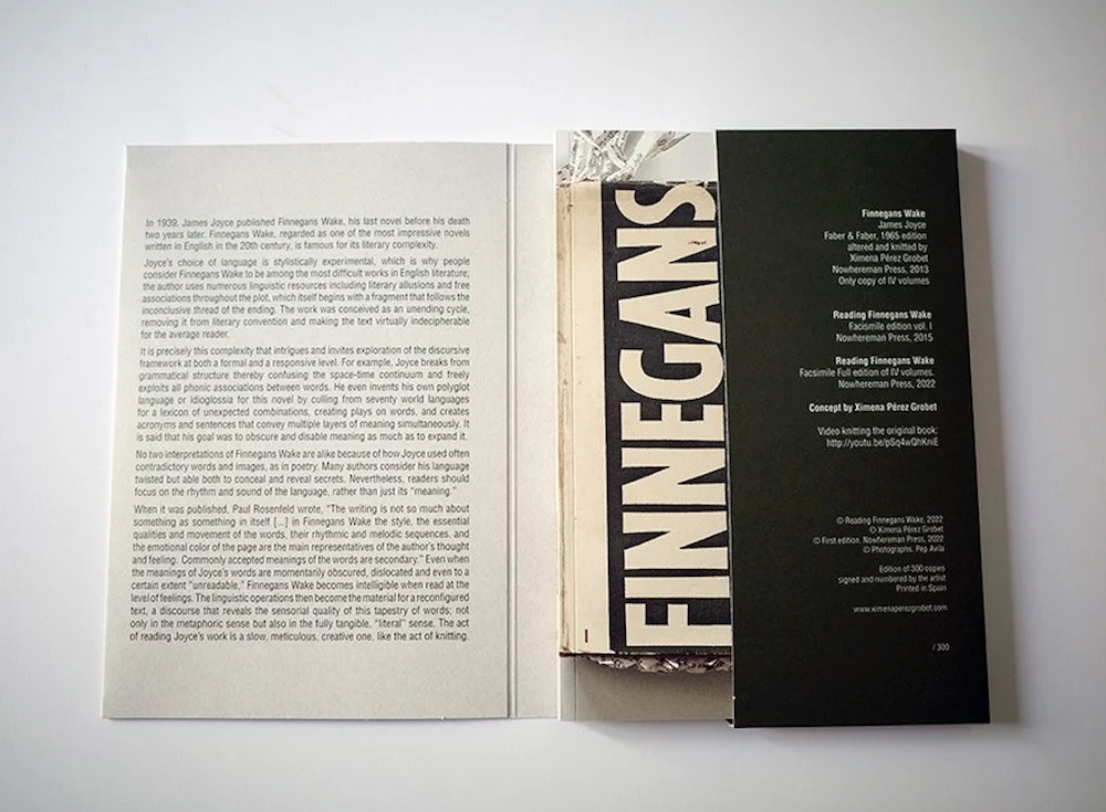 Reading Finnegans Wake 