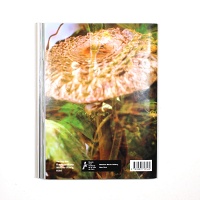 Peter Fischli: Musée d’Art Moderne de la Ville de Paris