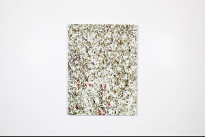 Jason Rhoades: PeaRoeFoam