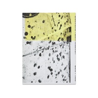 Adam McEwen: Sidewalks