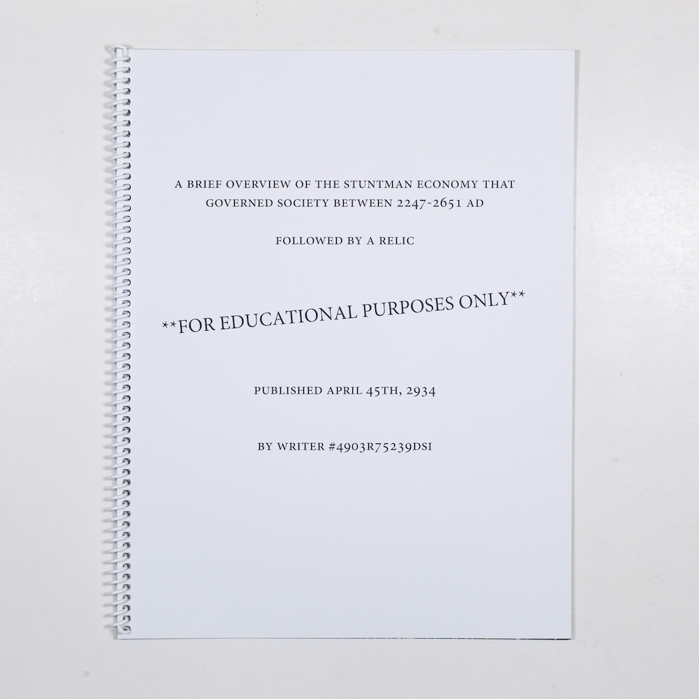 A Brief Overview of the Stuntman Economy