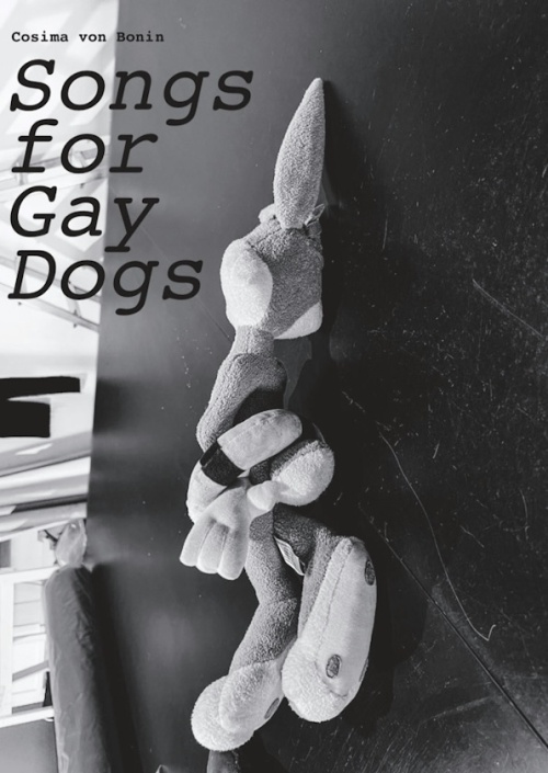 Songs for Gay dogs