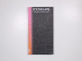 Magdalena Jadwiga Härtelova and Cassie Thorton: It’s Too Late. Do It Anyway!