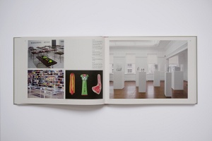 Véronique Bacchetta and Nicolas Trembley: Craft: About Exhibitions, Craft, Art, Cultural Hierarchies, Typologies and the Art of Display