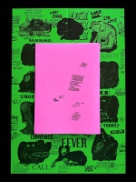RELATED DEPARTMENT and FEVER DOG: Lost Dog Again?!