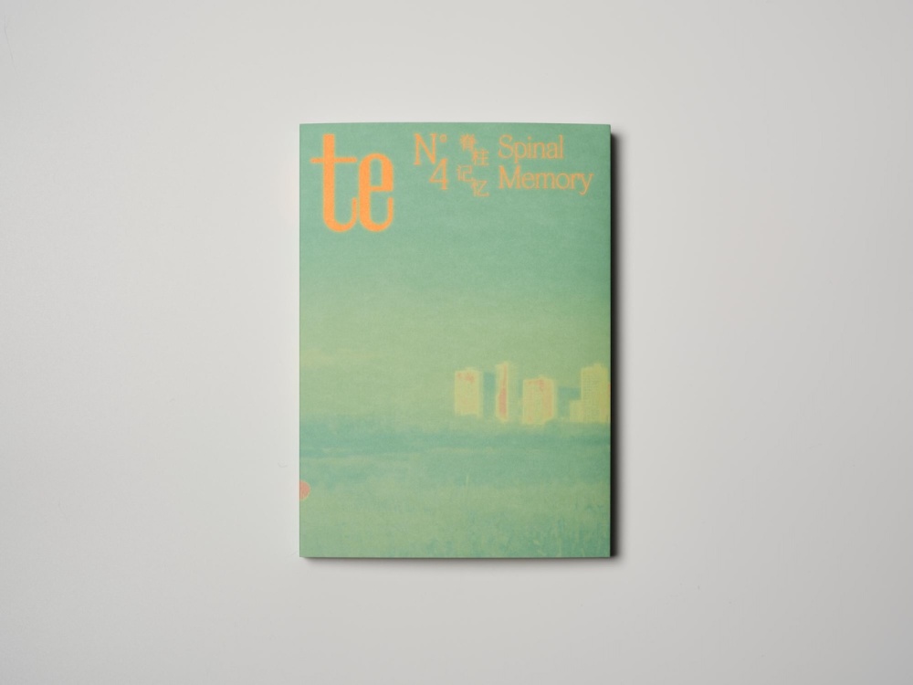 te issue 4:  Spinal Memory