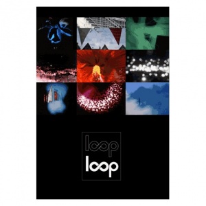 Selected Works by the Loop Collective