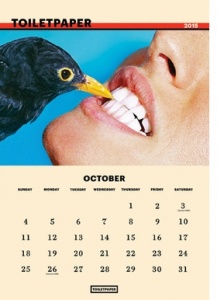 Toilet Paper 2015 Calendar