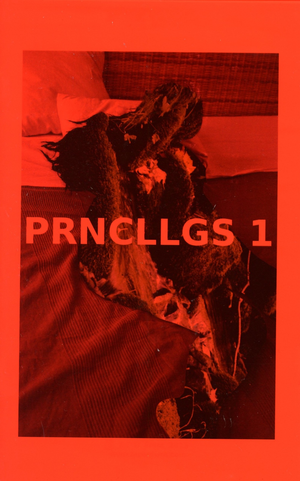 PRNCLLGS 1