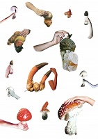Yvonne Mullock: Mushrooms of North America/&#160;Vogue