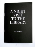 Amir Brito Cador: A Night Visit to the&#160;Gallery